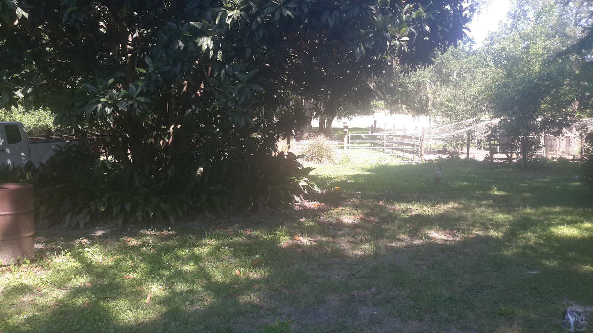 Castanea Farm Hipcamp in Alachua, Florida