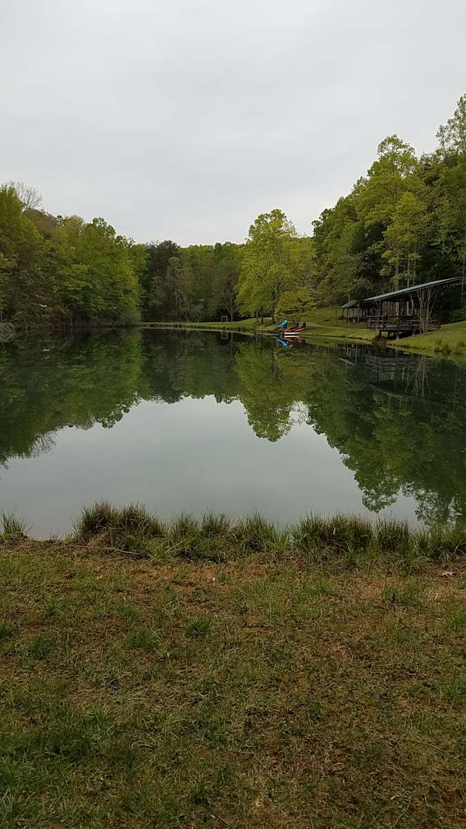 Wild Toad Lake Hipcamp in Claudville, Virginia