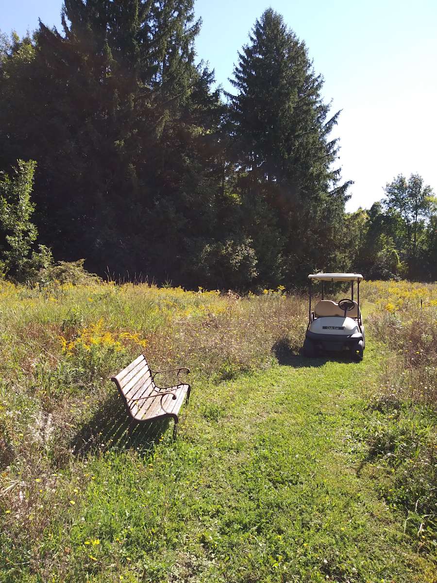 Tranquil Meadows Hipcamp in Holley, New York