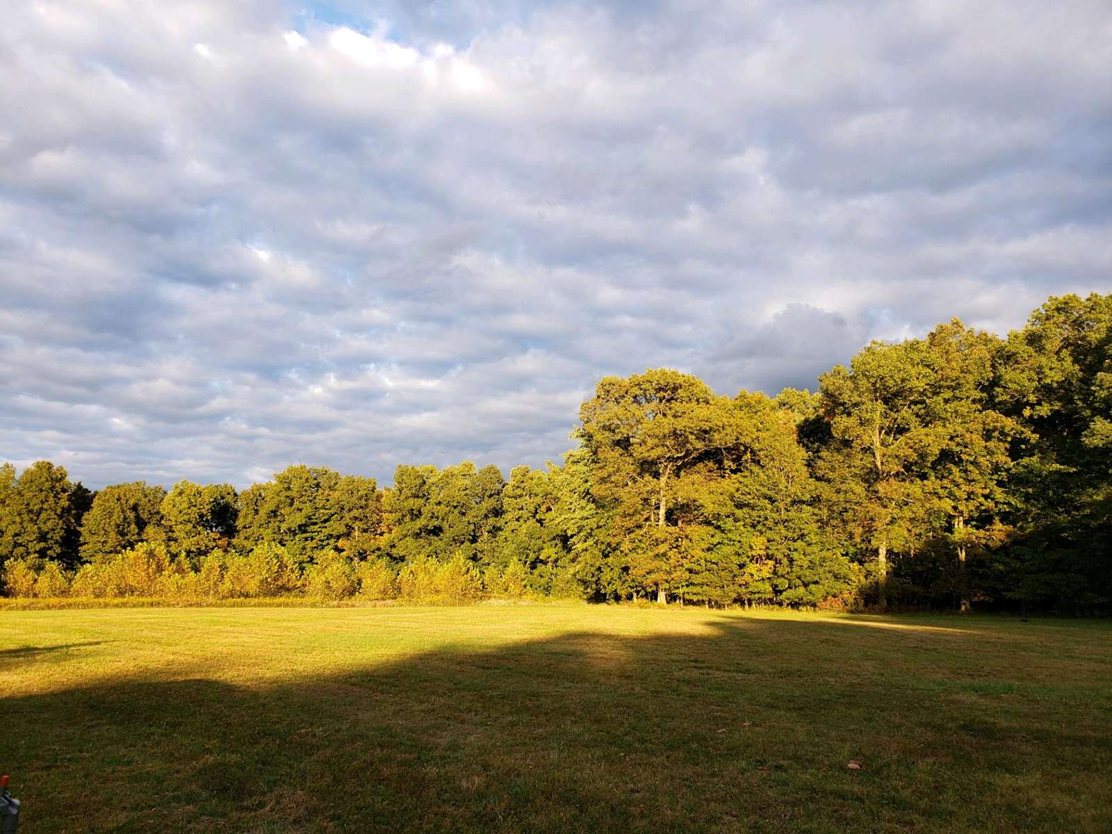 Open farm land with wooded areas Hipcamp in Winchester, Ohio