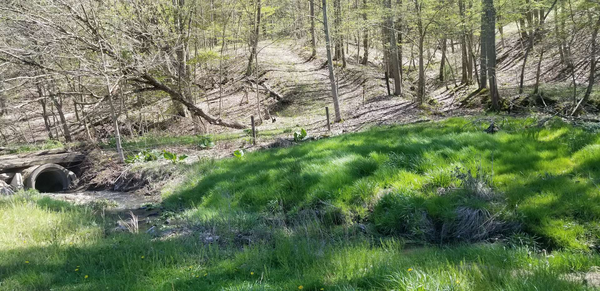 Sawhill Run Camp Hipcamp in Claysville, Pennsylvania