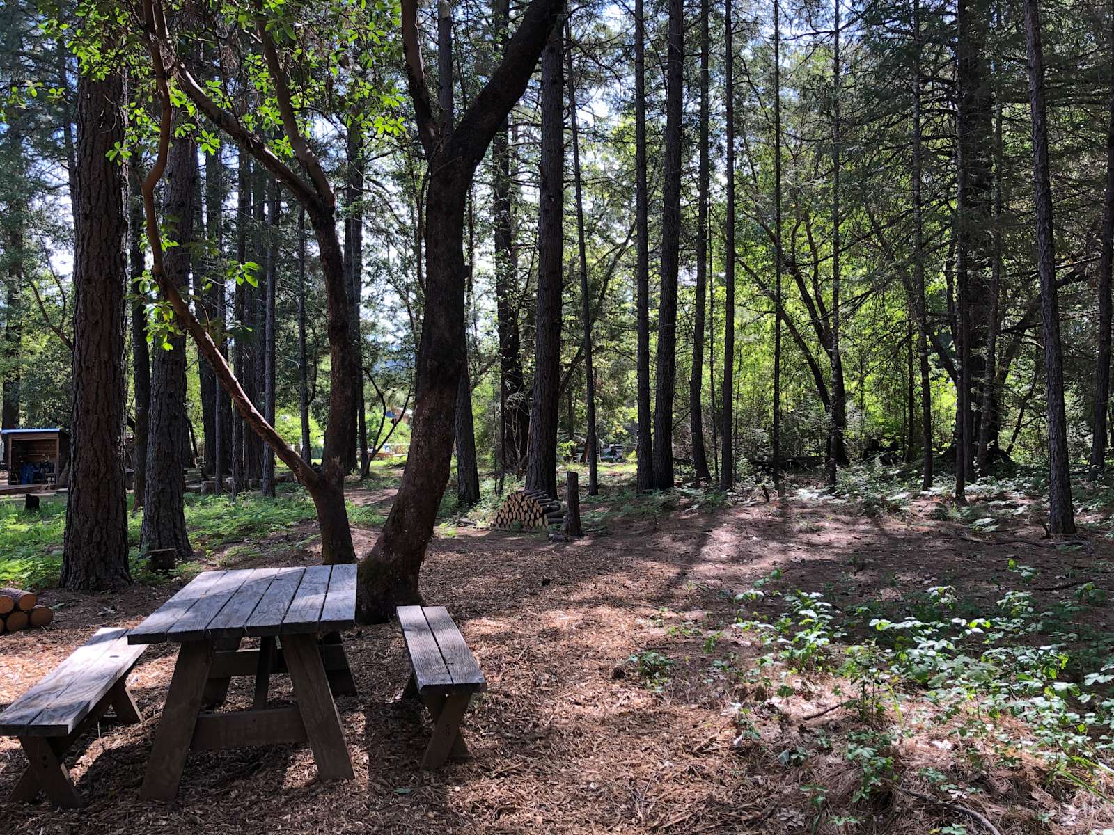 Lucky Penny Laytonville Hipcamp in Laytonville, California