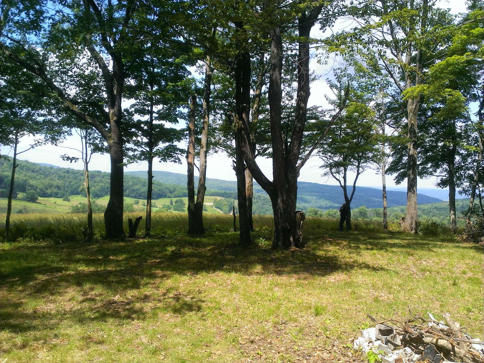 Steam Mill Tent Site Hipcamp in Masonville, New York