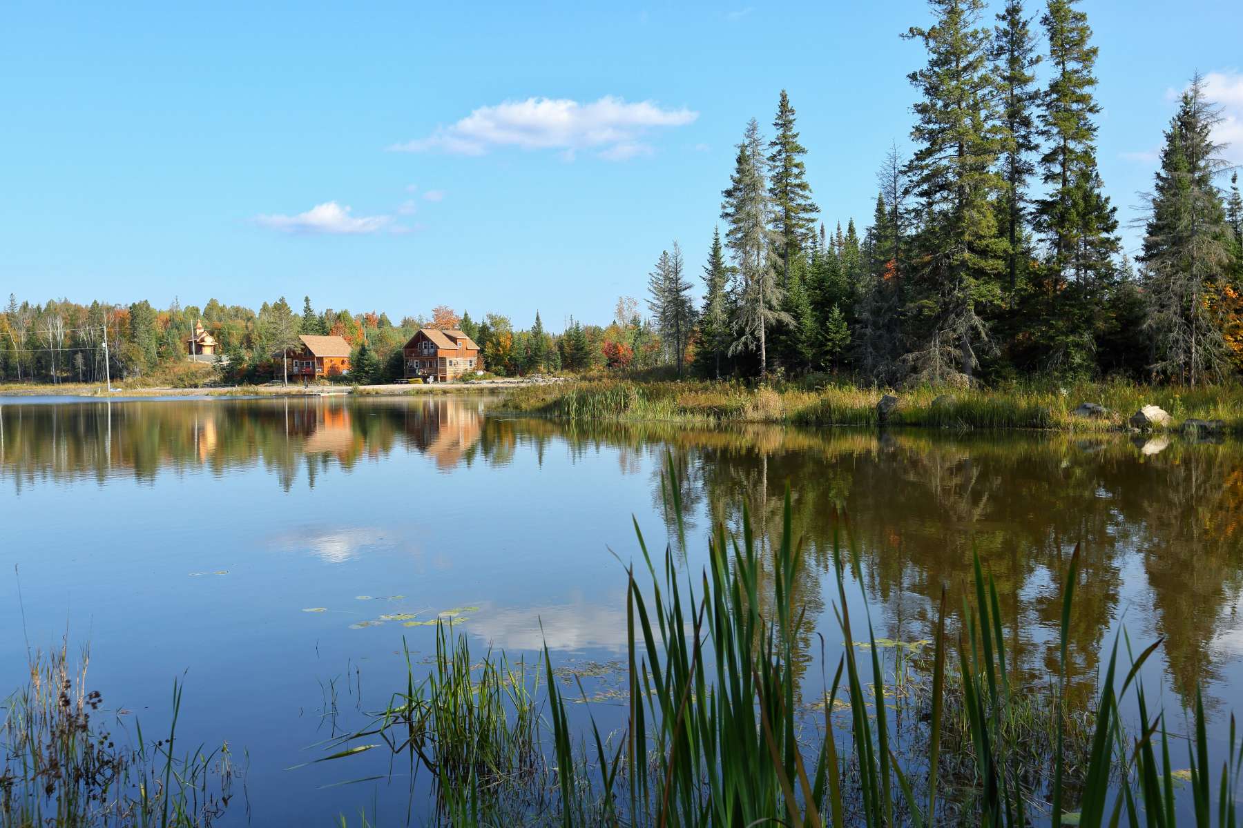 Swan Lake Off Grid Camp & RV Park - Hipcamp in Burk's Falls, Ontario