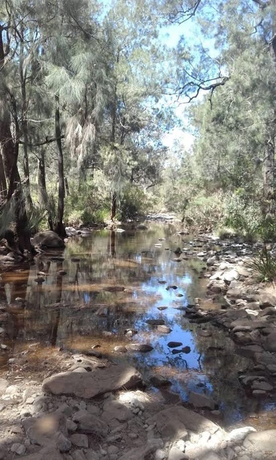 Sunni One's Sunset Views Hipcamp in Millstream, Queensland