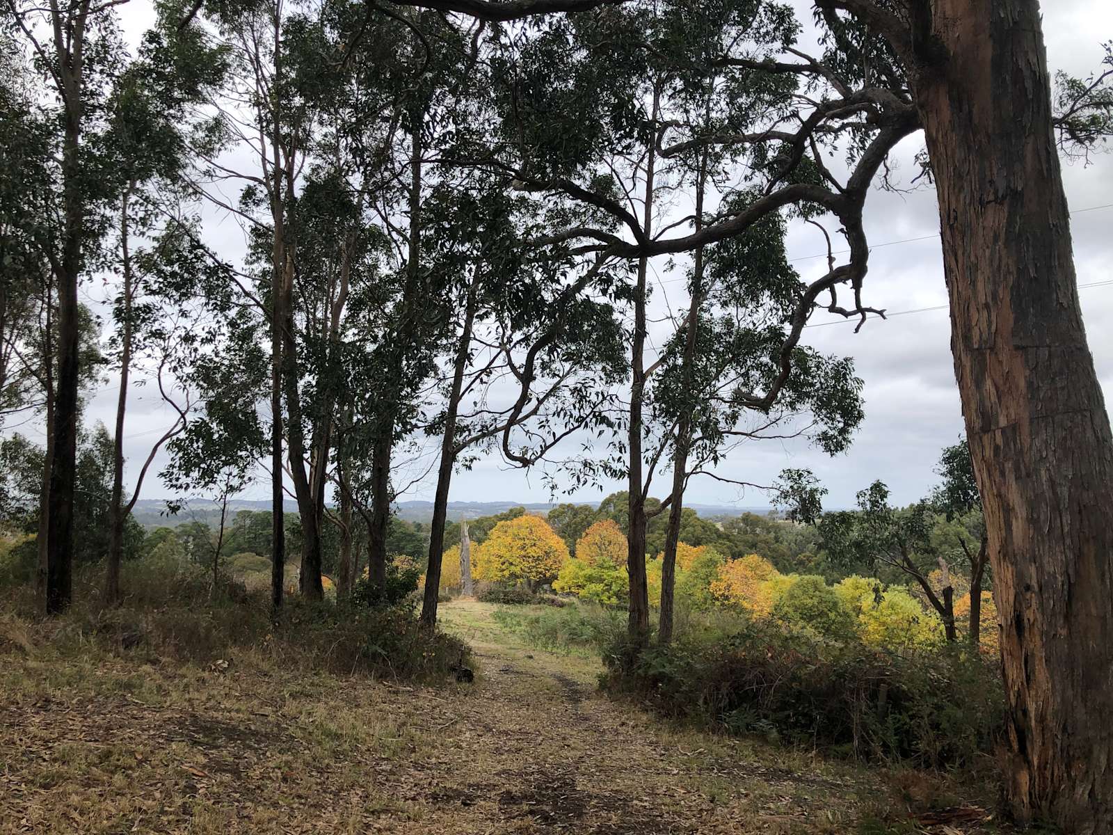 Adelaide Hills Magical Retreat Hipcamp in Balhannah, South Australia