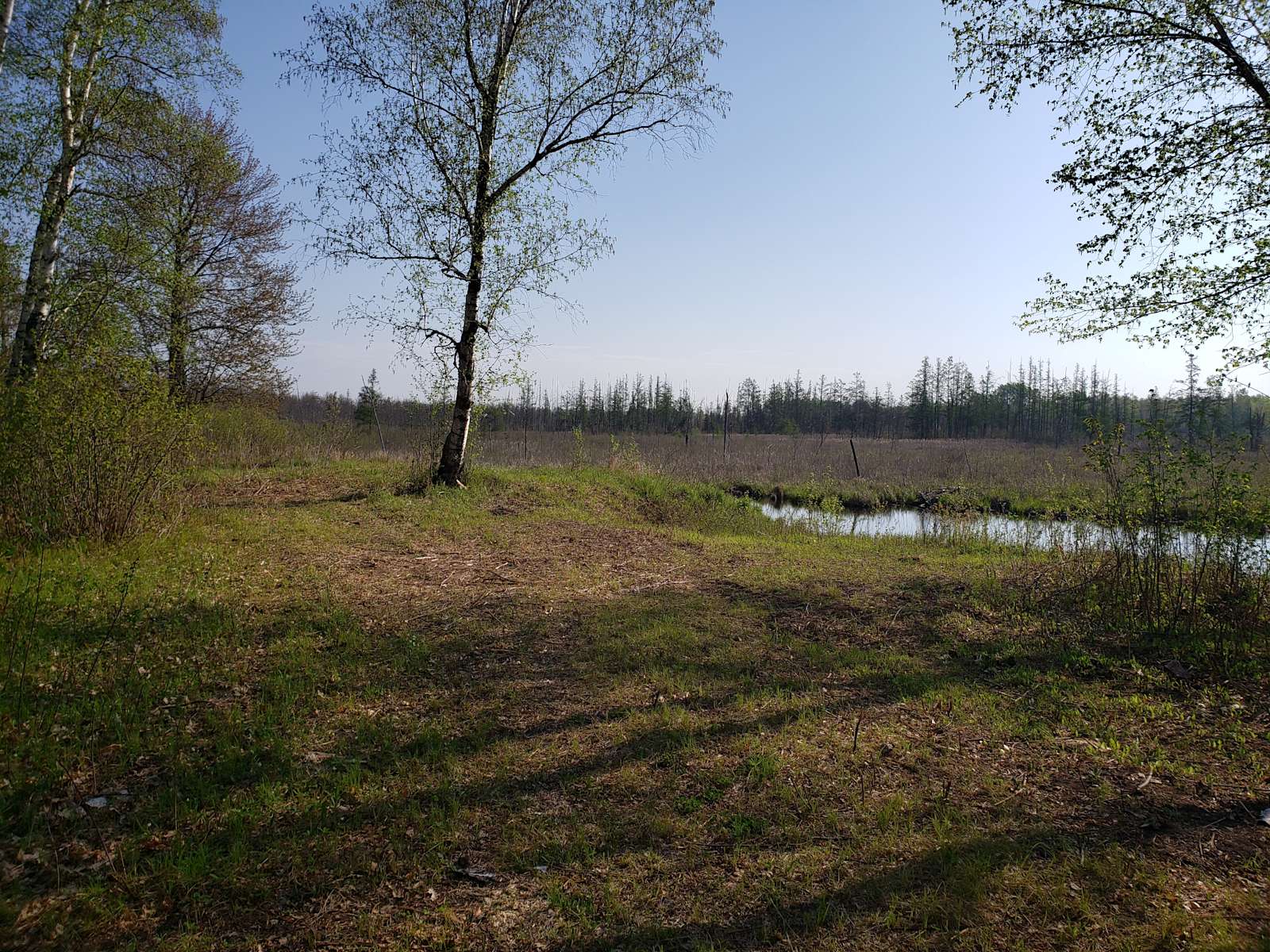 Springdale Farm Camping Hipcamp in Hinckley, Minnesota