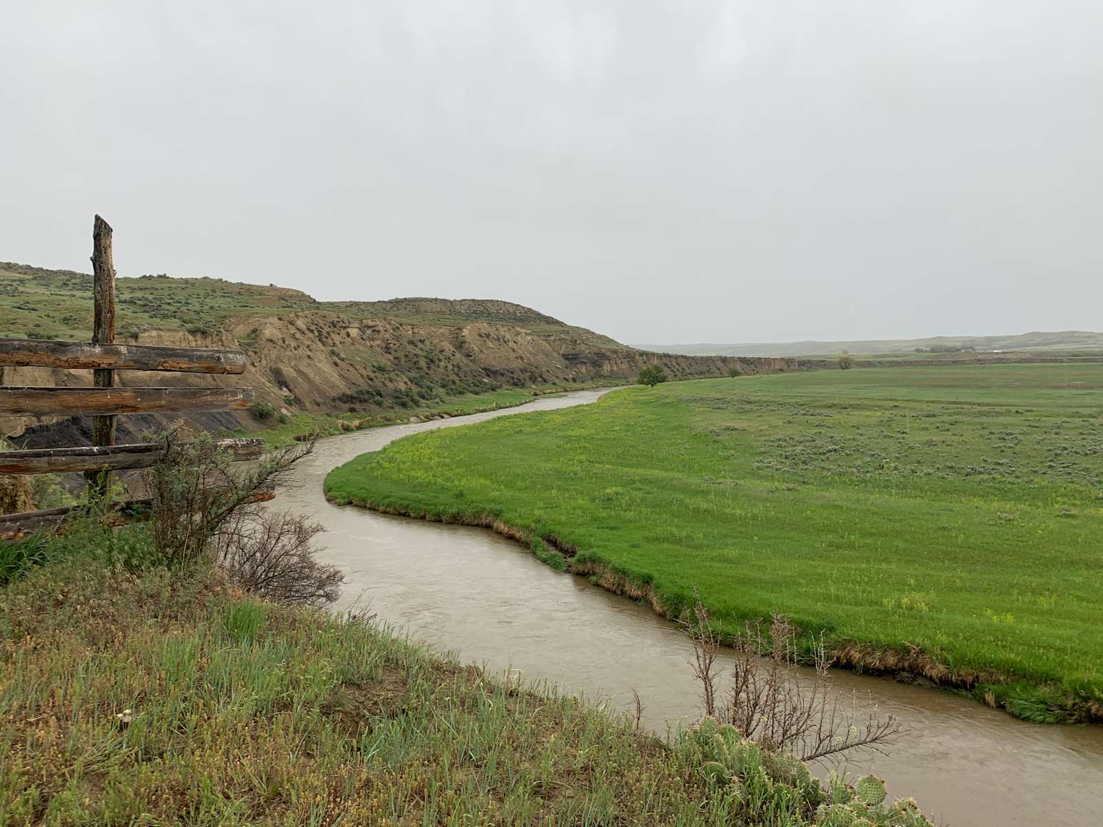 Unleash The Adventures With Cross E Ranch Exclusive Discount Code