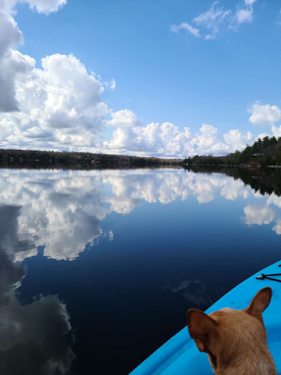 Heidi T.’s Land Hipcamp in Maberly, Ontario