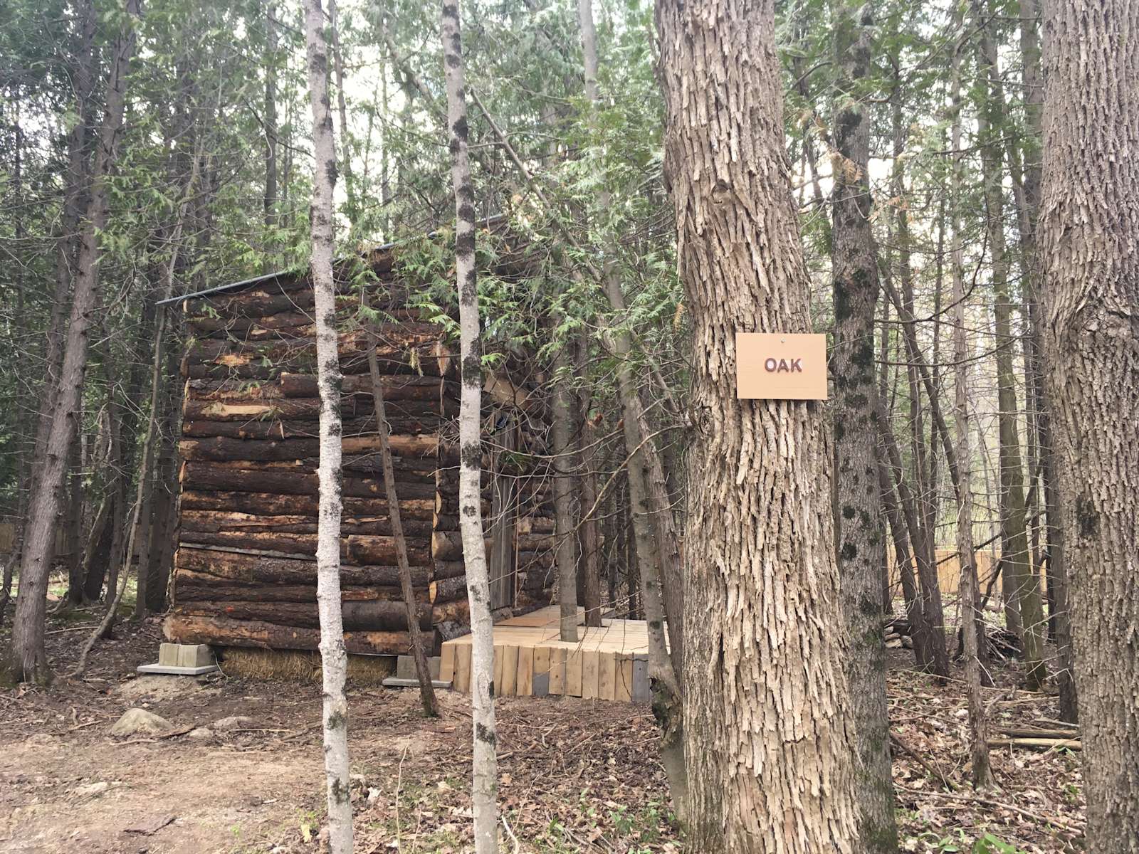 Nana M.’s Land Hipcamp in Markdale, Ontario