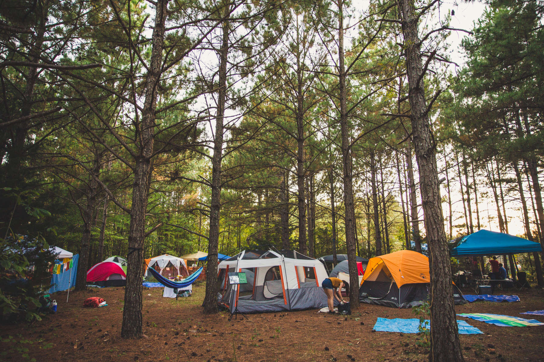 Shakori Hills GrassRoots Hipcamp in Pittsboro, North Carolina