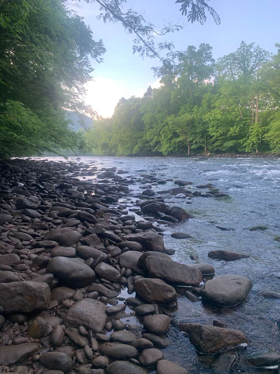 The River Life - Photo 3
