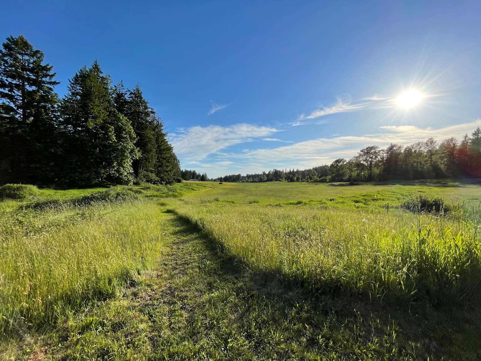 The Farm on Van Wyck Hipcamp in Bellingham, Washington