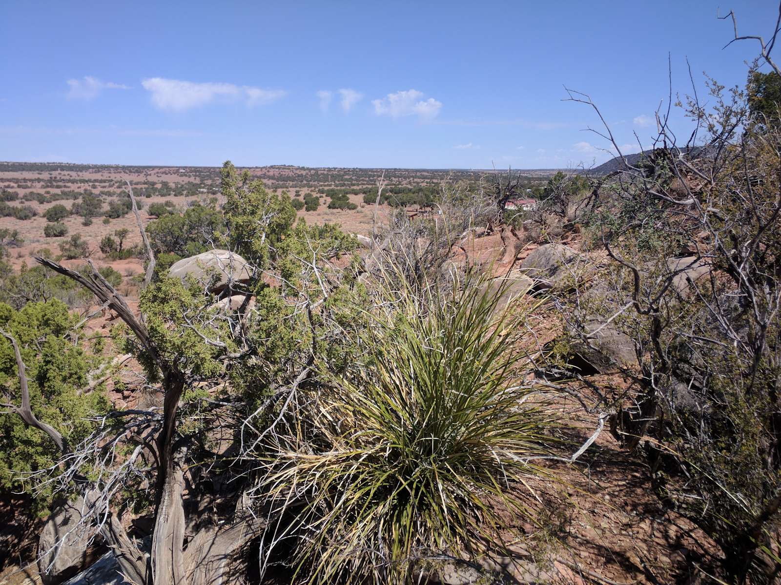 High Spirit Camping Hipcamp in Snowflake, Arizona