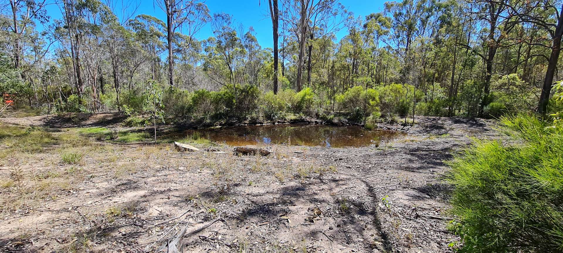 Blackbutt Campground Hipcamp in Blackbutt North, Queensland