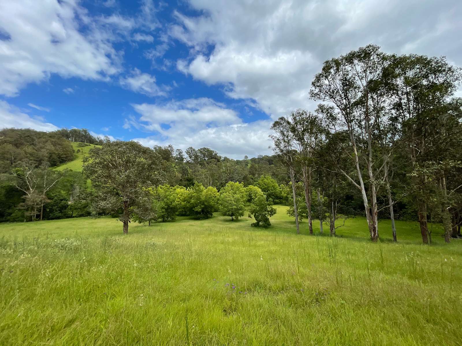 Aumscreek, Toms Creek Hipcamp in Toms Creek, New South Wales