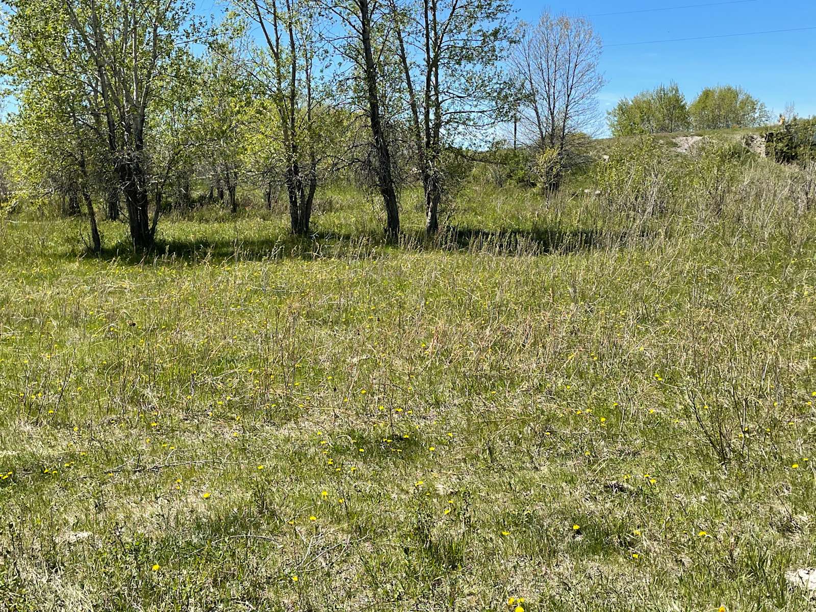 Birch Creek Wildlife Reserve Hipcamp in Valier, Montana