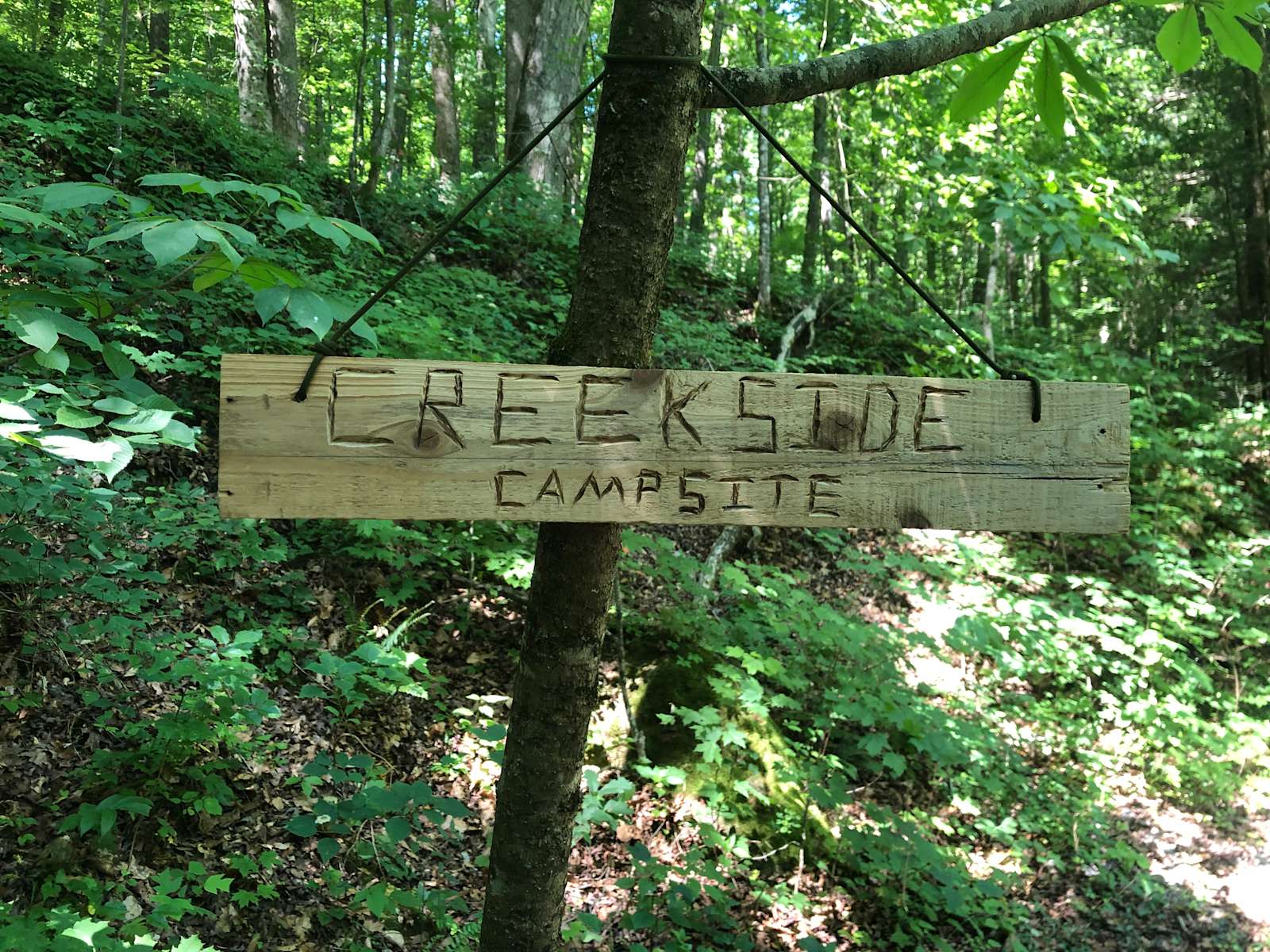 Camping at Redtail Farm Hipcamp in Powell Tennessee
