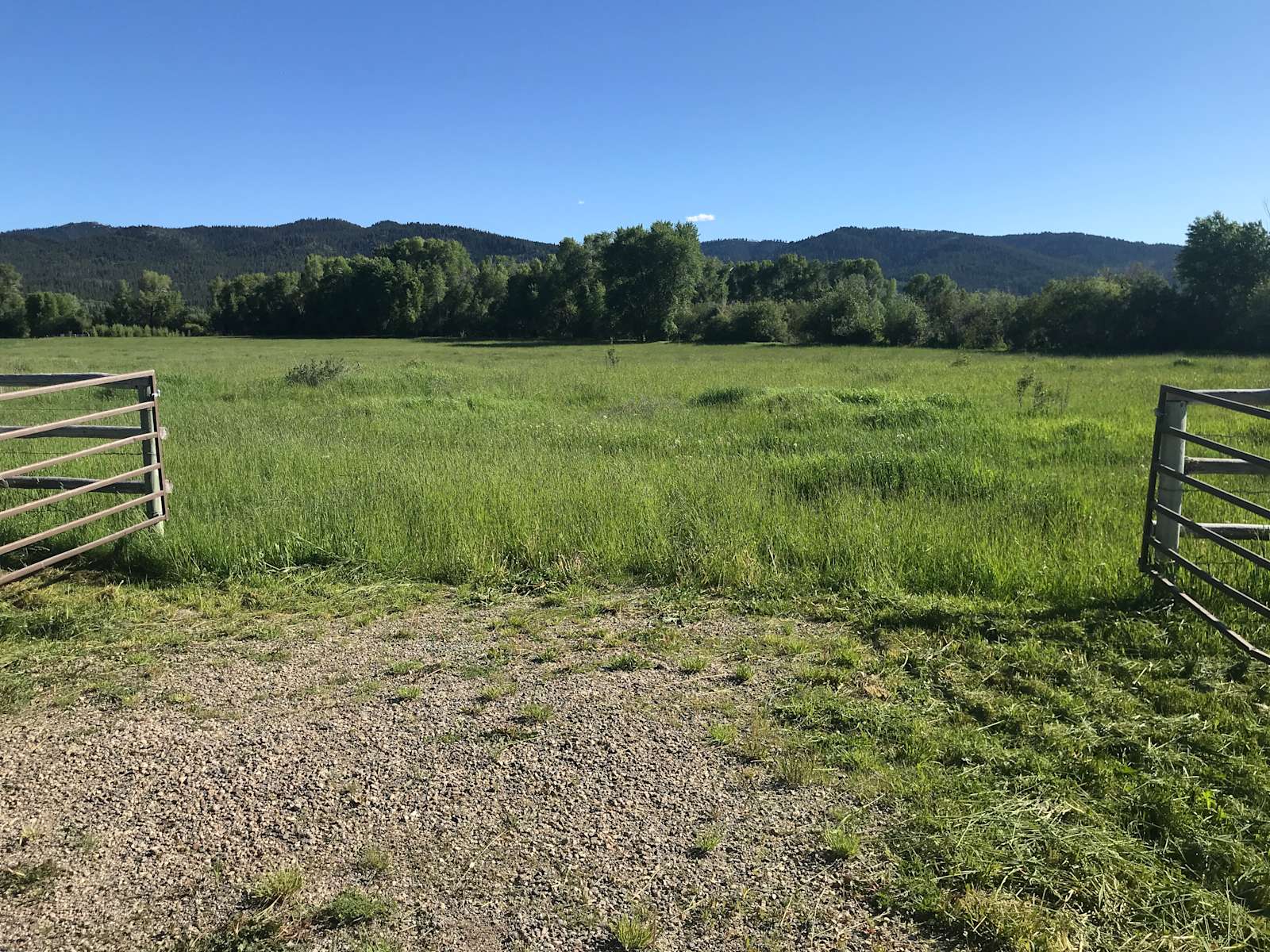 Victor Paradise:Ross Meadow #2 site - Photo 3