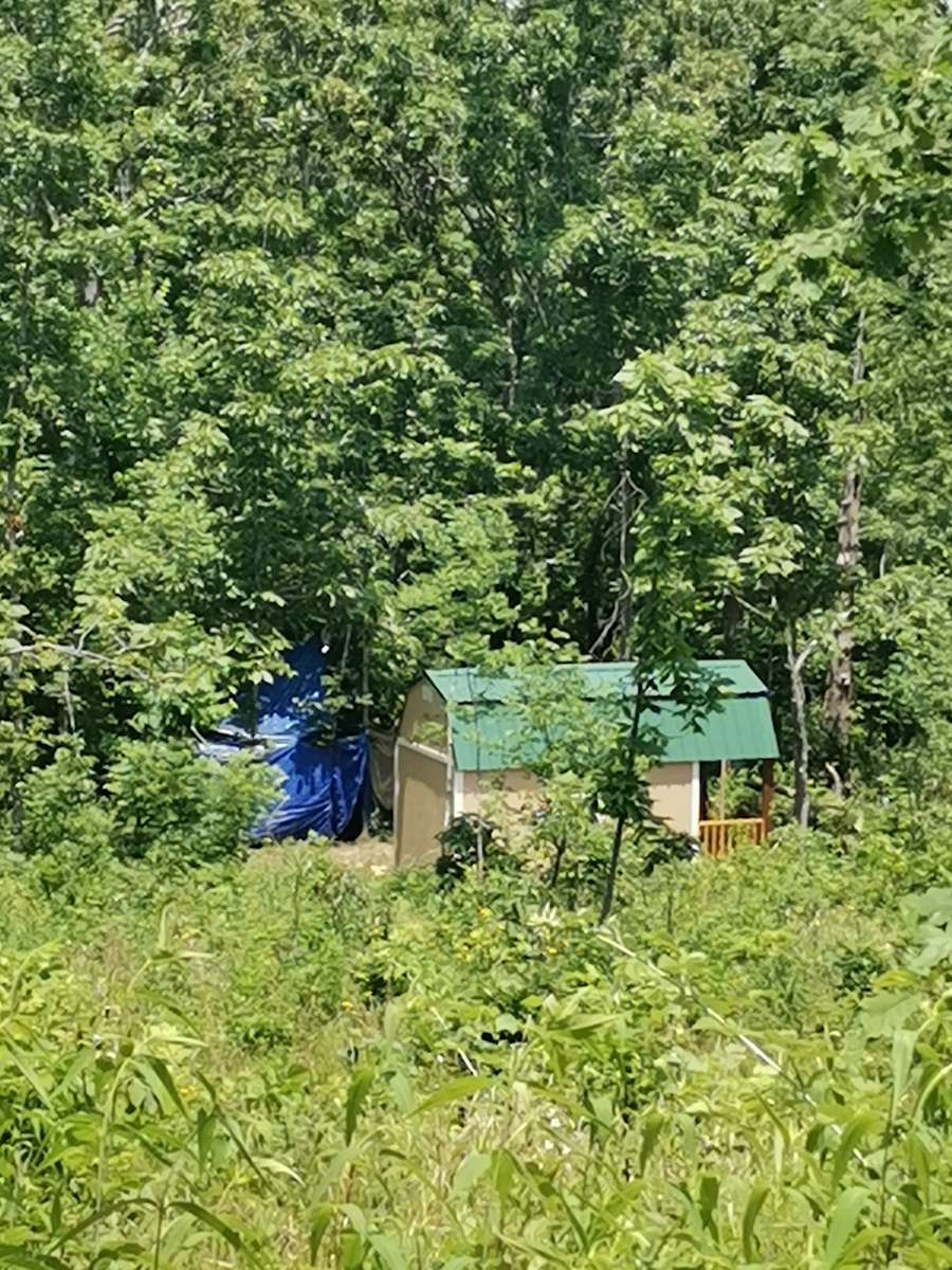 Logan N.’s Land Hipcamp in Seymour, Missouri