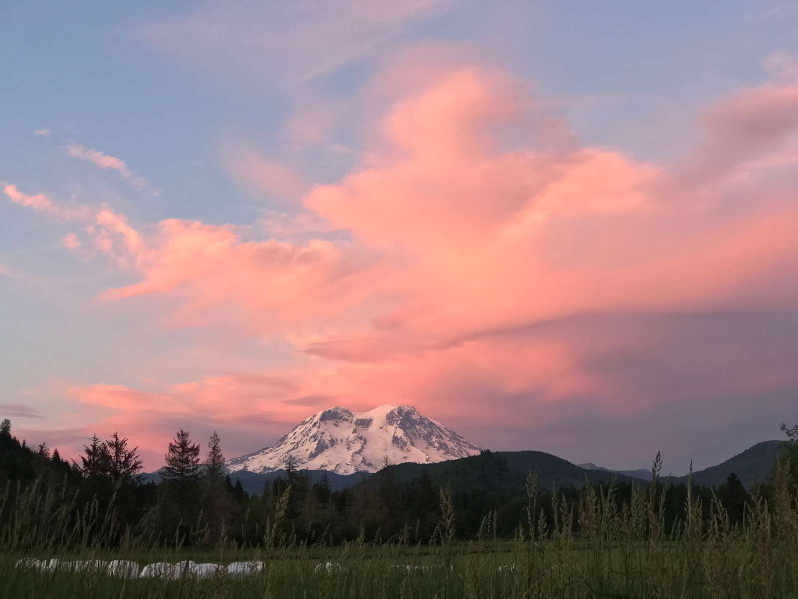 Misty Meadows Adventures Mt.Rainier - Photo 3