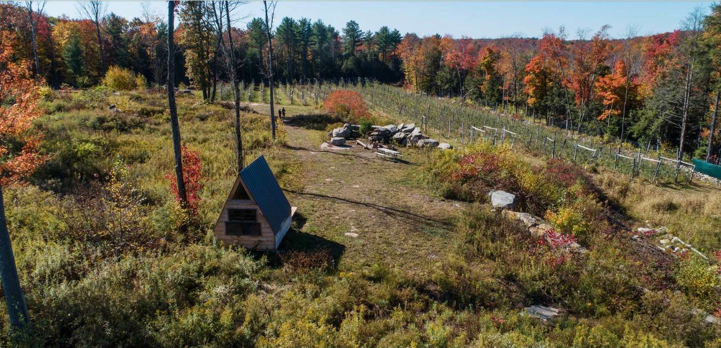 Majestic Farm & Organic Orchard Hipcamp in Woodridge, New York