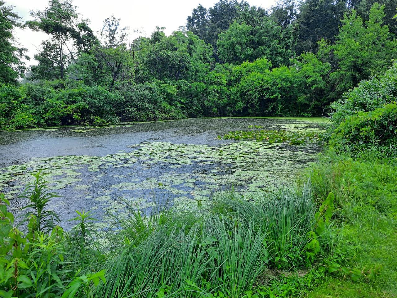 Shipshewana lake with channel Hipcamp in Shipshewana, Indiana