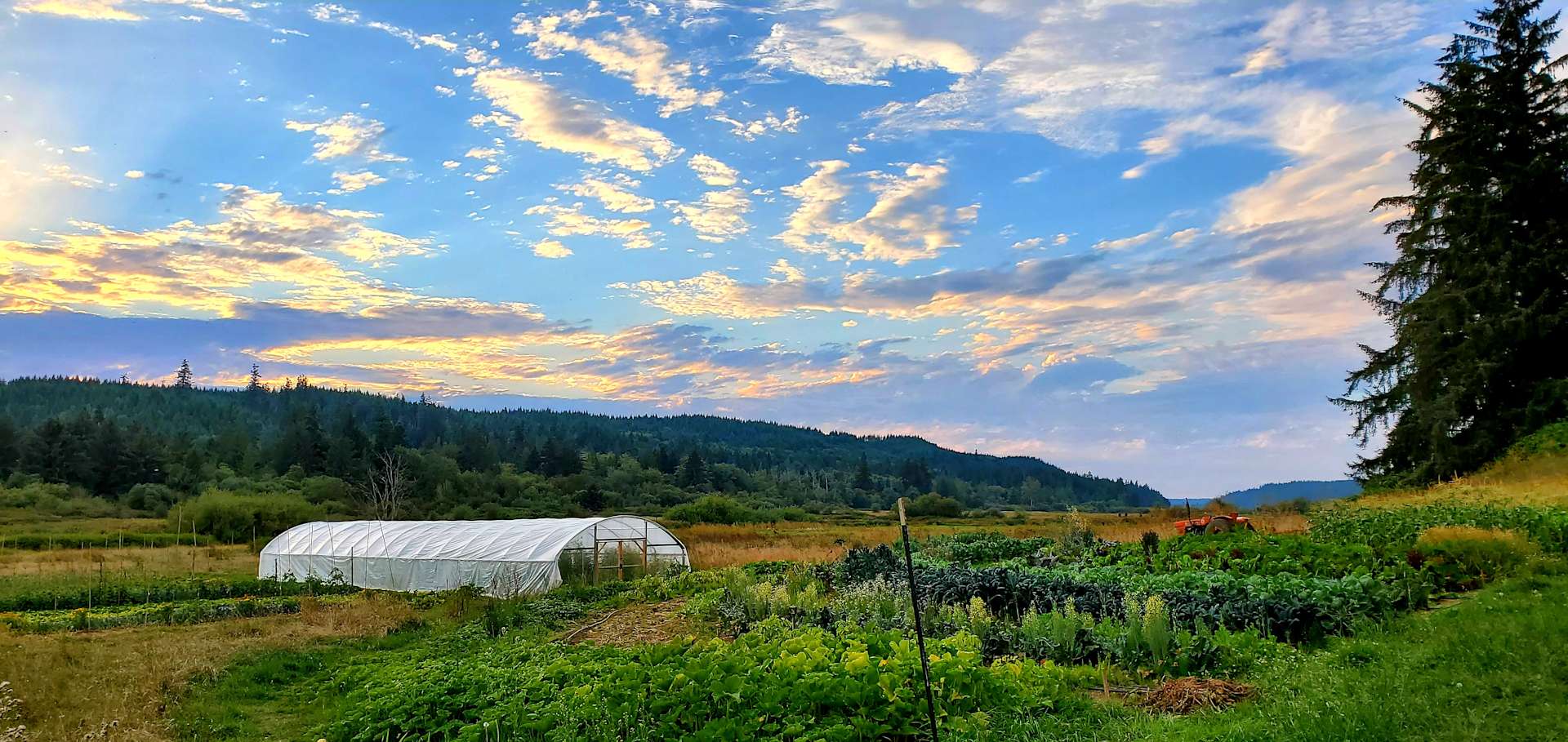 Beaver Valley Retreat Hipcamp in Chimacum, Washington