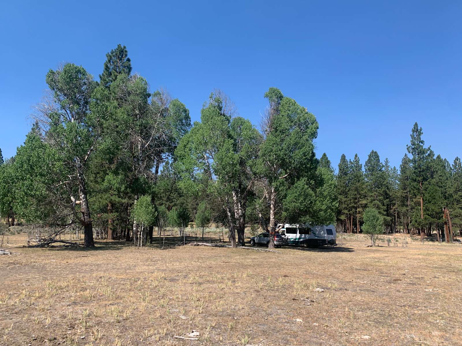 Sprague River Homestead Hipcamp in Sprague River, Oregon