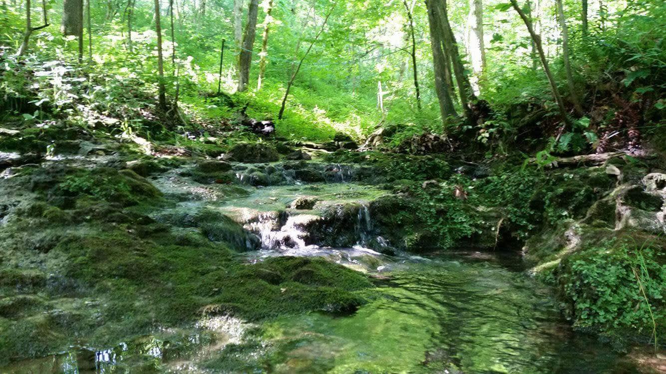 Shoal Home, an Ozark getaway Hipcamp in Steelville, Missouri