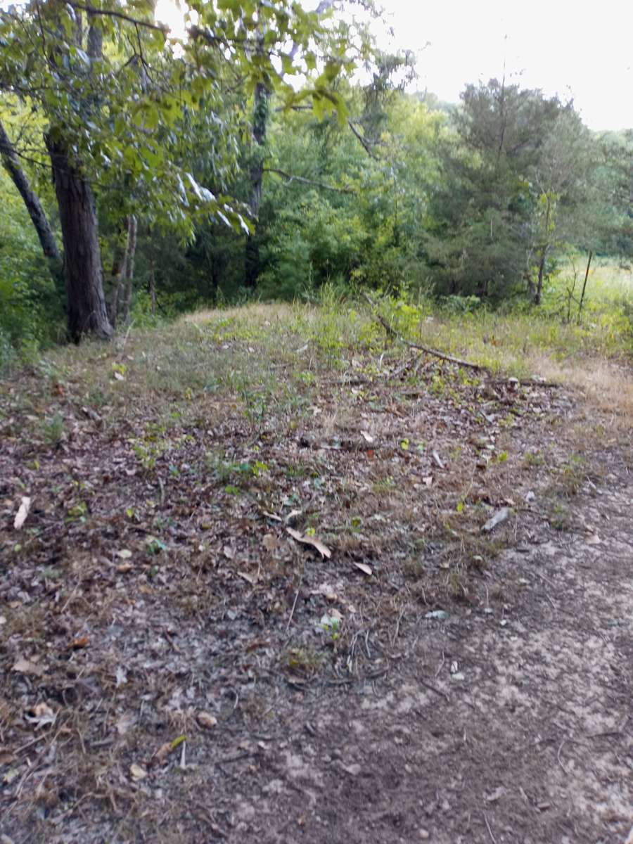 Harmony farms Hipcamp in Sevierville, Tennessee