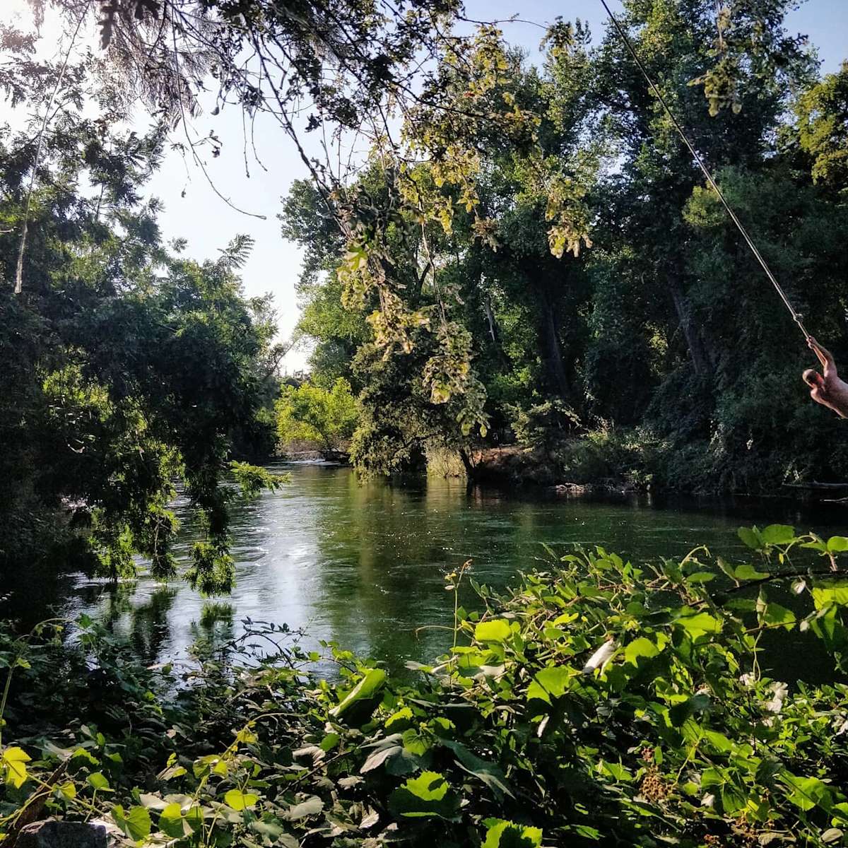 Ozz Ranch Hipcamp in Oakdale, California