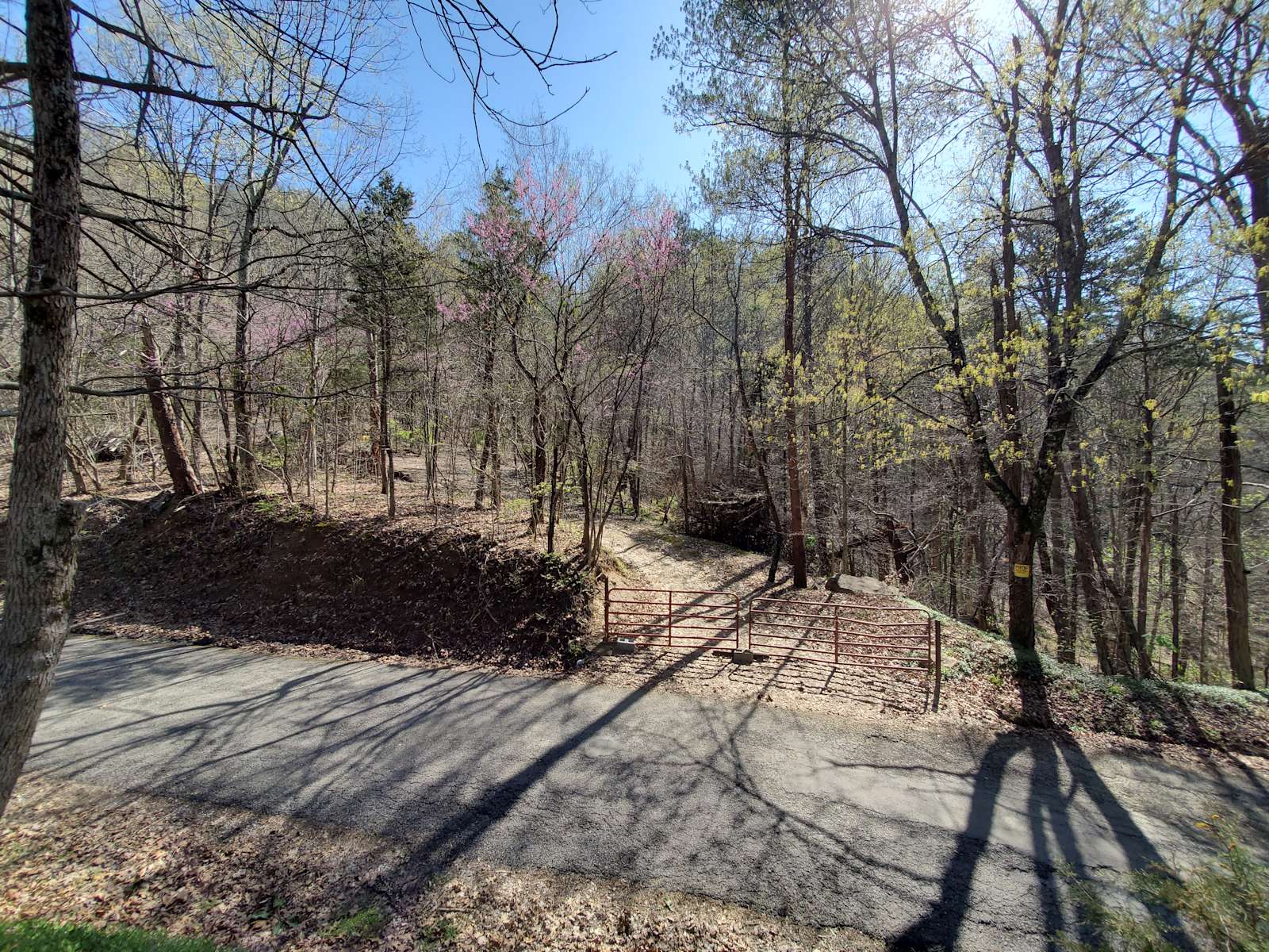 RV and tent camping Boatmans Mtn Hipcamp in Morristown, Tennessee