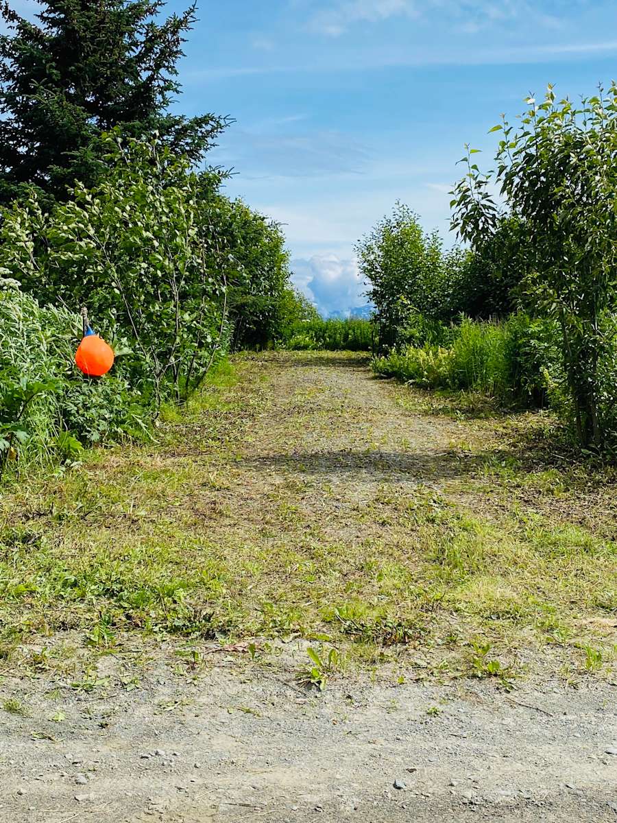 Glacier Vista RV Pad Hipcamp in Fritz Creek, Alaska