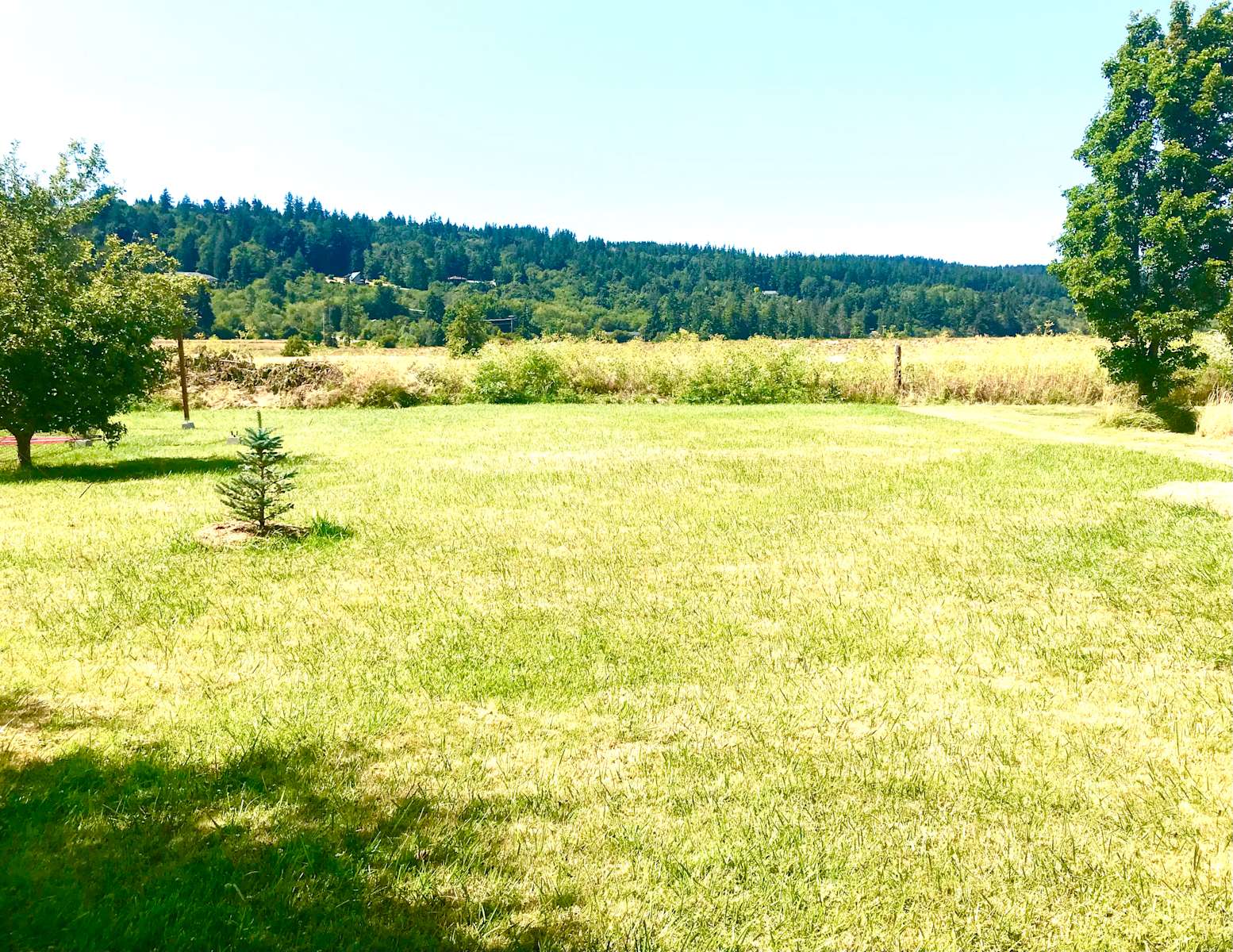 Lost On Camano Island Hipcamp in Camano Island, Washington