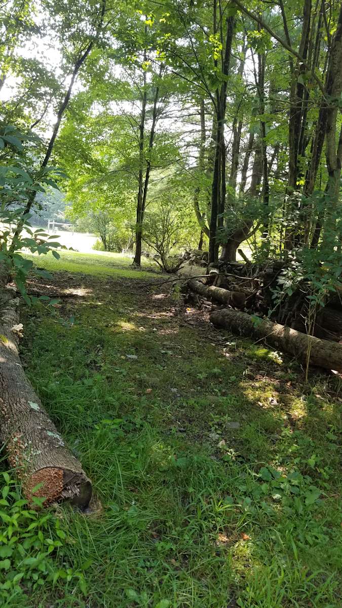 Pine Valley Alpacas Hipcamp in Dallas, Pennsylvania