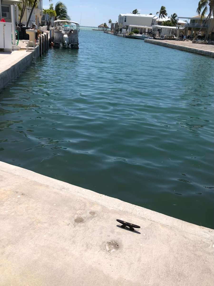 The Ocean awaits.....Swim Fish Dive Hipcamp in Cudjoe Key, Florida