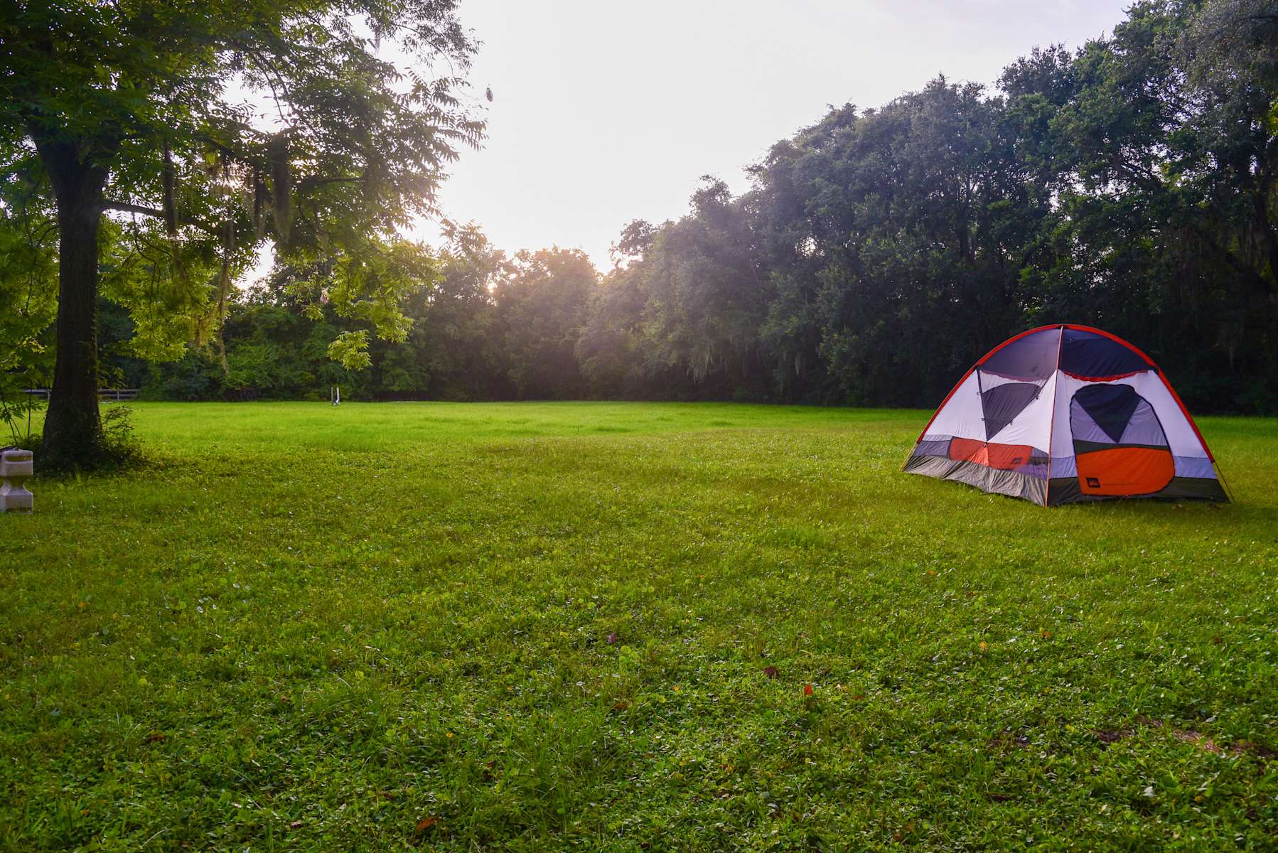 Wooded areas in a horse pasture Hipcamp in Augustine, Florida - Main Image