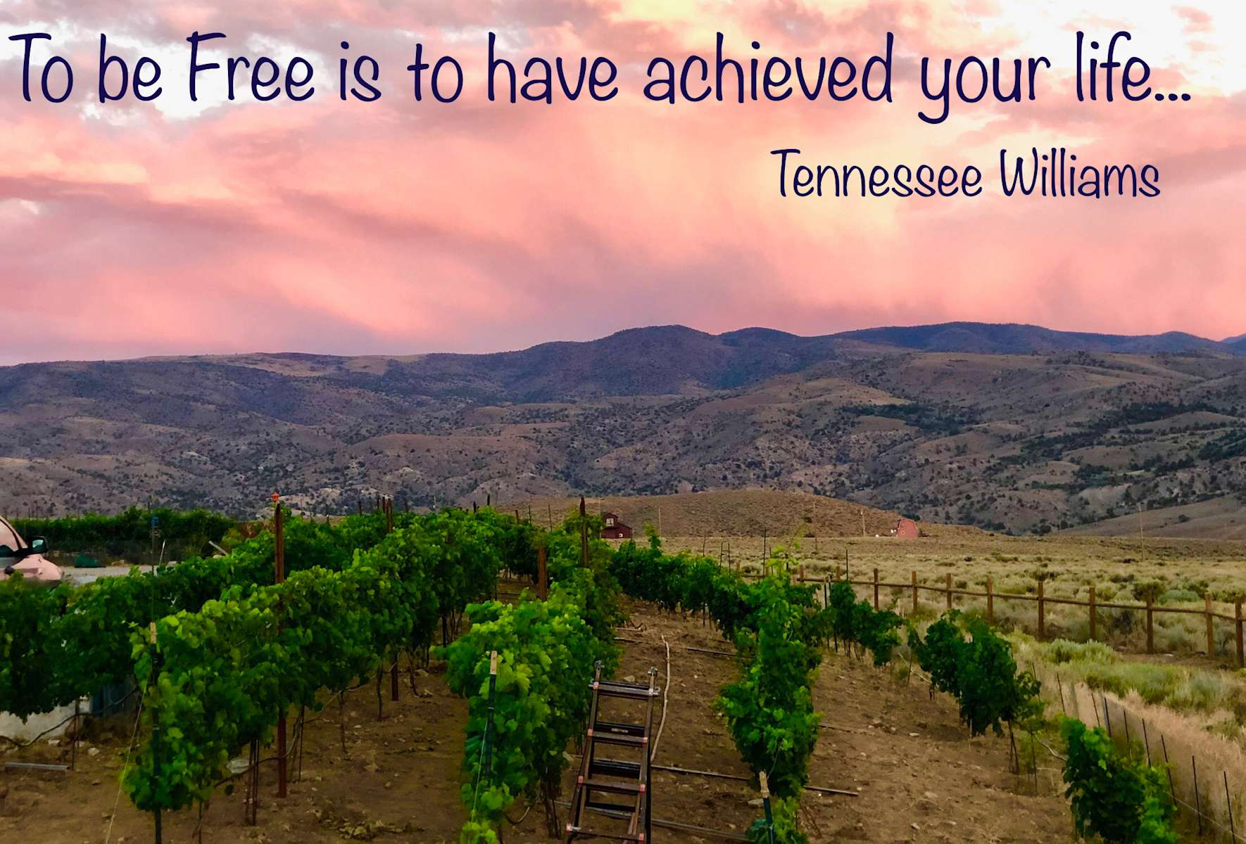 VintageTrailer Vineyard Hipcamp in Topaz Ranch Estates, Nevada