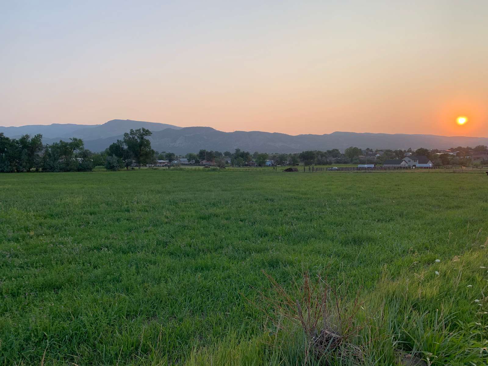 Oasis On The Hill