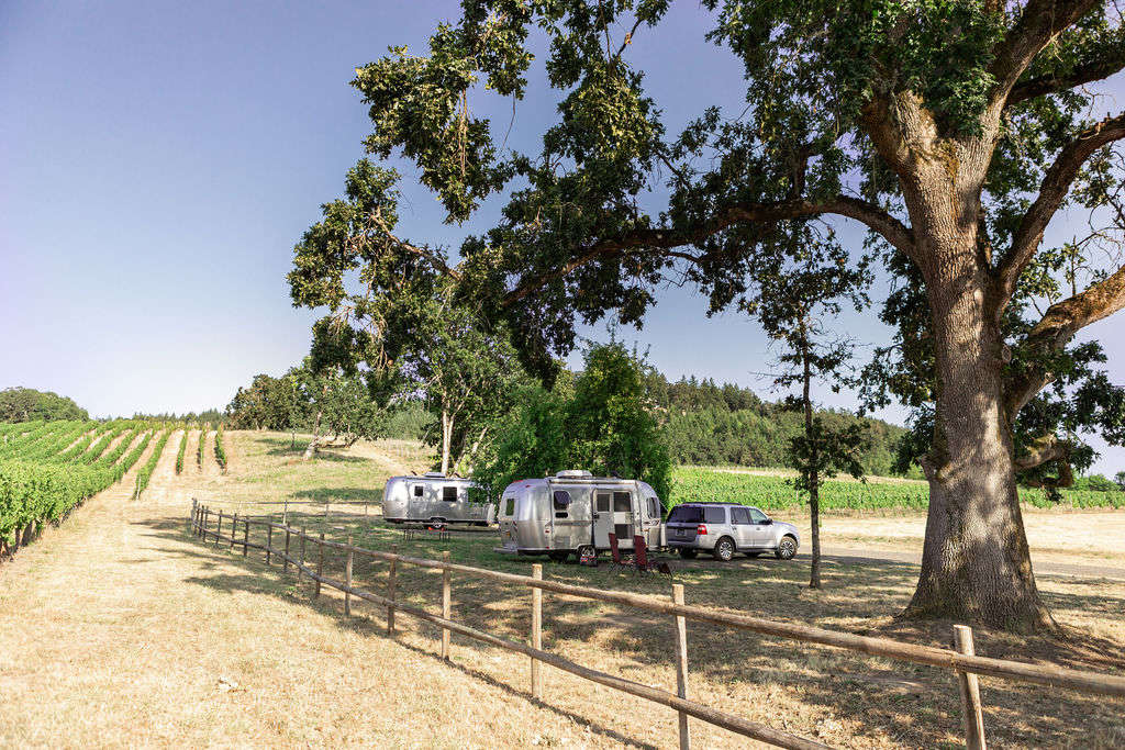 Kristin Hill Vineyards - Hipcamp in Amity, Oregon