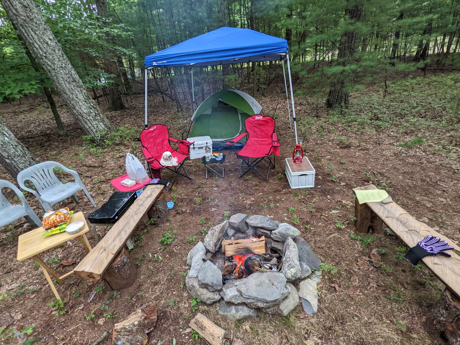 Craig G.'s Land - Hipcamp