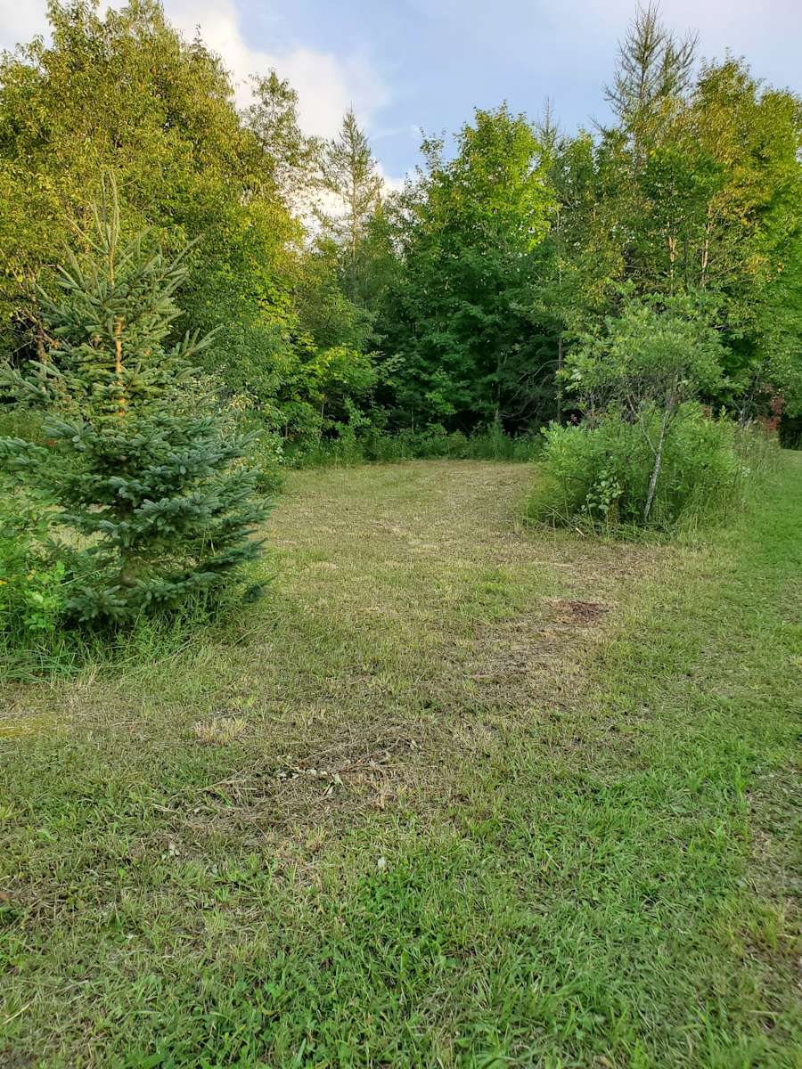 Brenda W.’s Land Hipcamp in Badjeros, Ontario