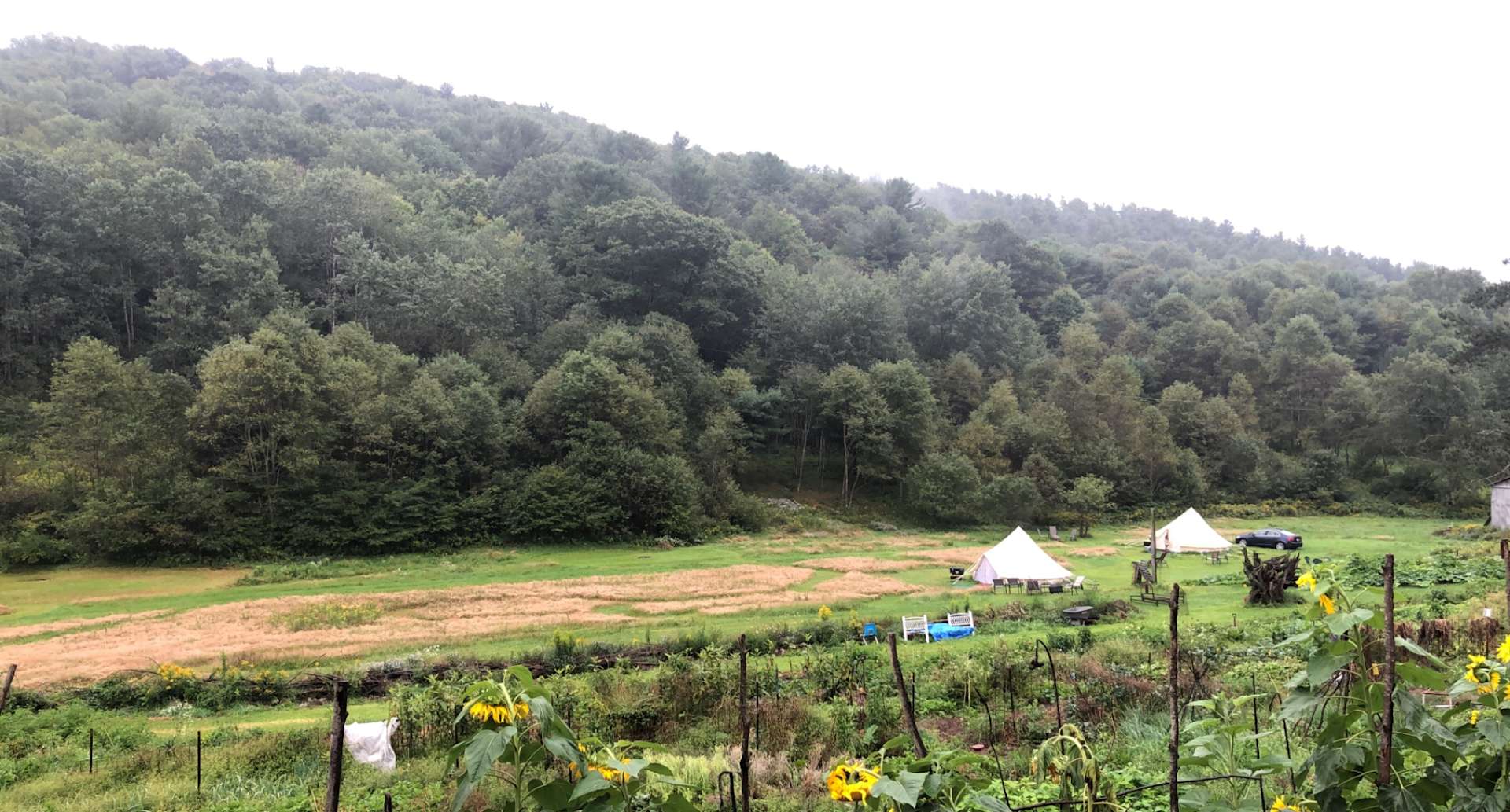 Stargazing Field at Olga Farm Hipcamp in Coudersport, Pennsylvania