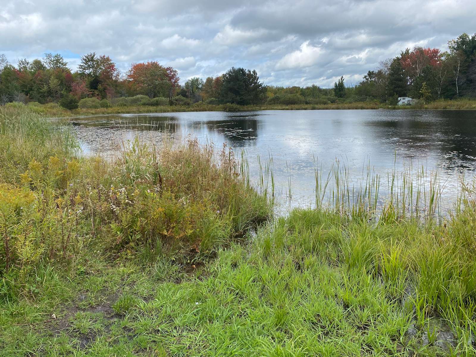 Catskills Campsite, Gilboa NY Hipcamp in Gilboa, New York