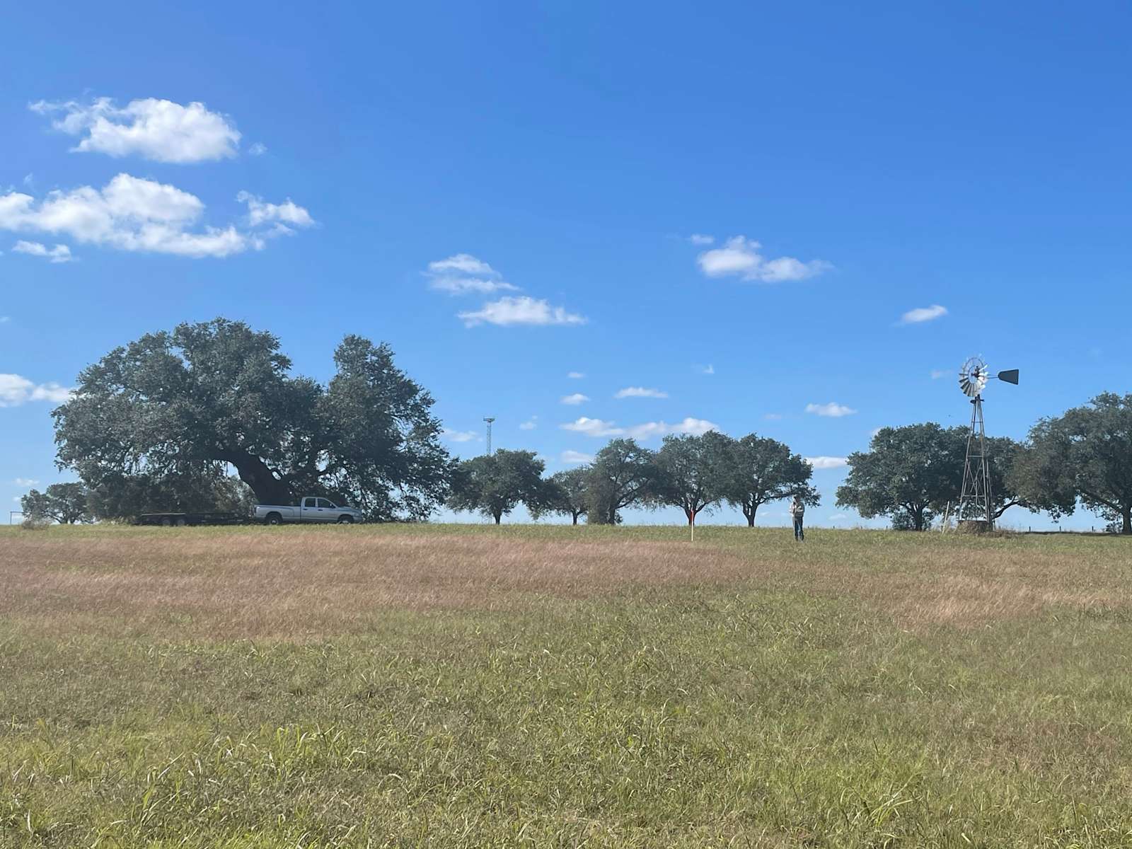Schulenburg Prairie Hipcamp in Schulenburg, Texas