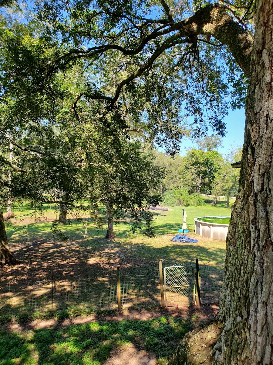 Rustic creek Hipcamp in Rosharon, Texas