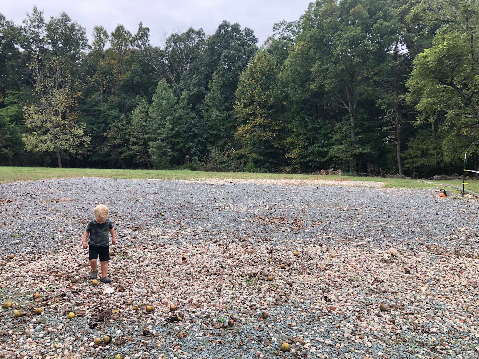 Bickley Farm Hipcamp in Louisa, Virginia