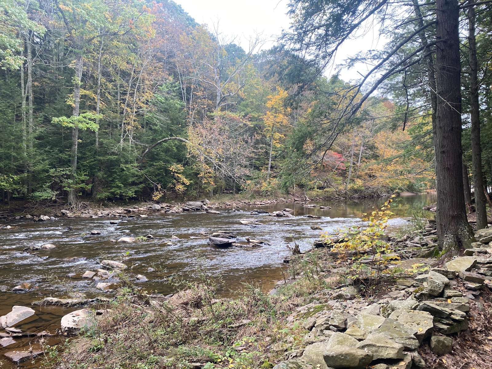 Brook’s Land Hipcamp in Palenville, New York