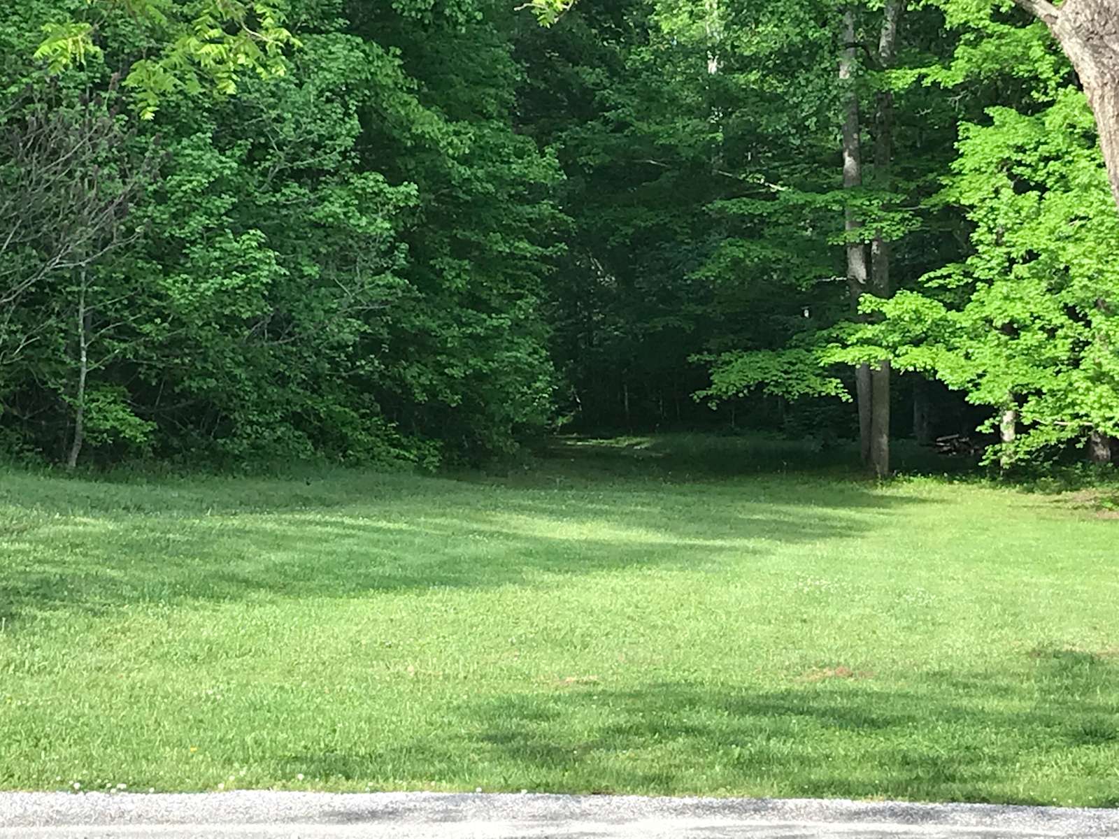 Hunting Daniel Boone National F Hipcamp in Frenchburg, Kentucky